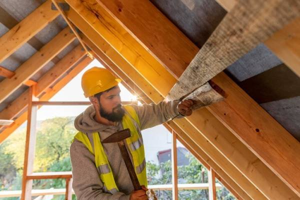 Attic Insulation (4)